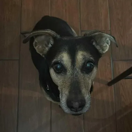 منزل للإقامة A Casa Di Delia - Stazione Fidene روما